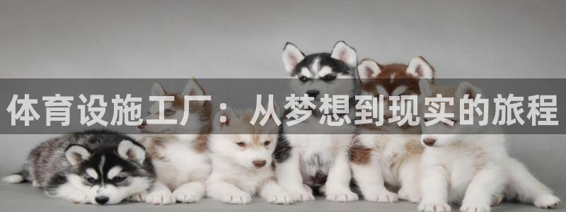 意昂4集团简介