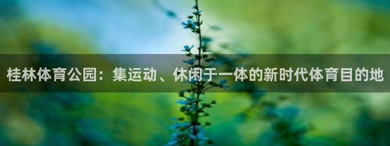 意昂集团官网
