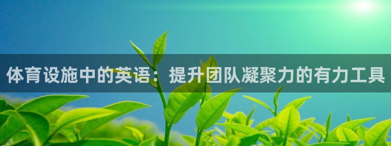 意昂体育4招商电话是多少号码：体育设施中的英语：提升团队凝聚