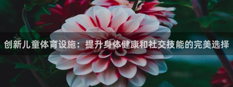 意昂体育4是干嘛的公司