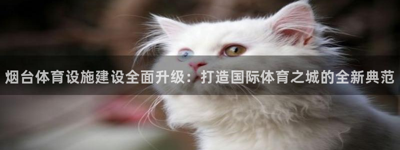 意昂4娱乐平台