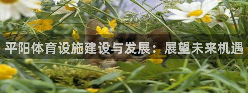 意昂体育4招商电话是多少