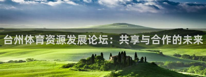 意昂体育4是干嘛的公司