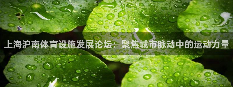 意昂体育4软件：上海沪南体育设施发展论坛：聚焦城市脉动中的运