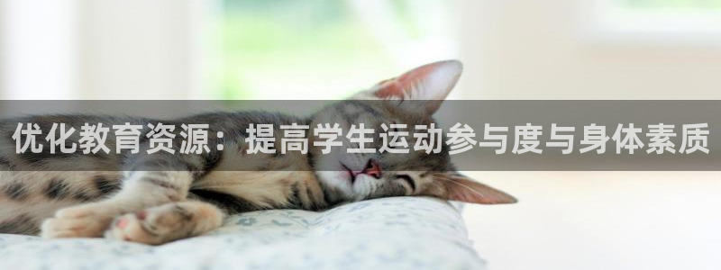 意昂体育4是干嘛的公司：优化教育资源：提高学生运动参与度与身