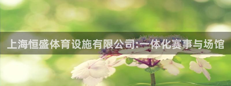 意昂4官方：上海恒盛体育设施有限公司:一体化赛事与场馆