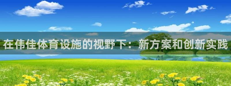 意昂体育4平台注册流程图：在伟佳体育设施的视野下：新方案和创