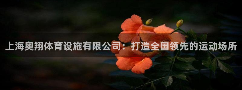 意昂体育4注册：上海奥翔体育设施有限公司：打造全国领先的运动