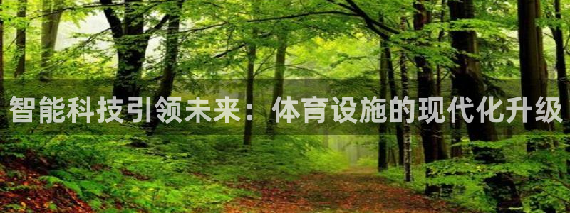 意昂体育4平台注册要钱吗：智能科技引领未来：体育设施的现代化
