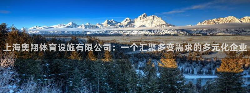 意昂4神州