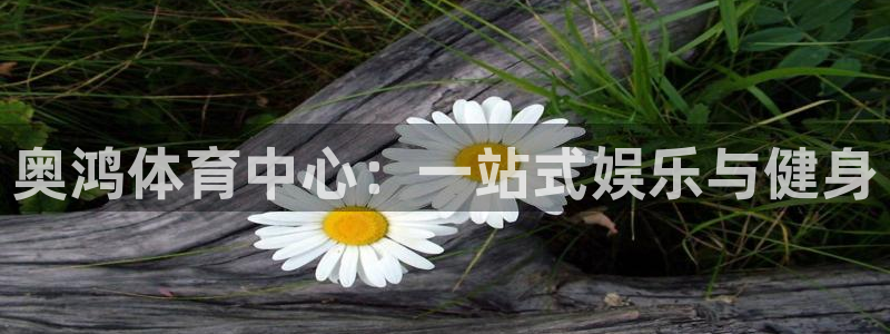 意昂体育4招商电话号码查询是多少：奥鸿体育中心：一站式娱乐与