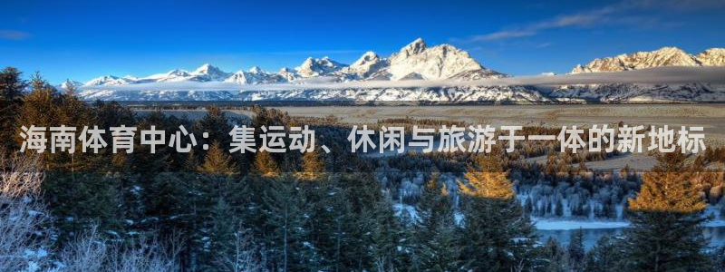 意昂体育4招商电话：海南体育中心：集运动、休闲与旅游于一体的