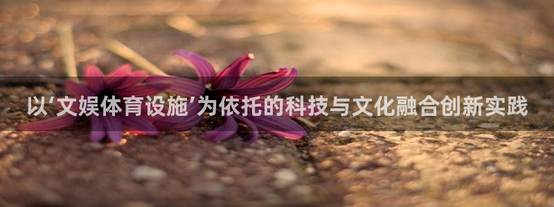 意昂4开户：以‘文娱体育设施’为依托的科技与文化融合创新实践