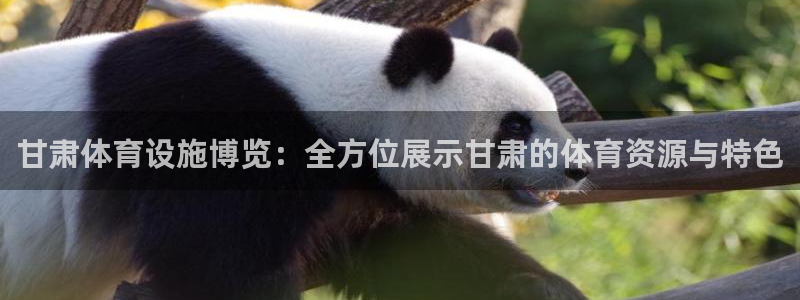 意昂平台体育：甘肃体育设施博览：全方位展示甘肃的体育资源与特