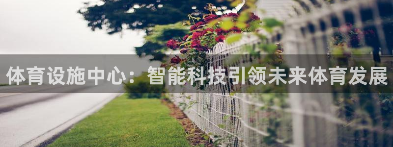 意昂4娱乐：体育设施中心：智能科技引领未来体育发展 