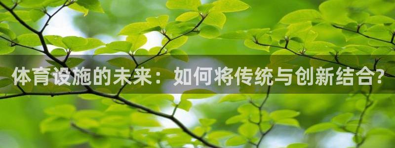 意昂体育4软件：体育设施的未来：如何将传统与创新结合?