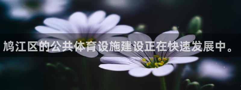 意昂体育4平台是正规平台吗安全吗：鸠江区的公共体育设施建设正