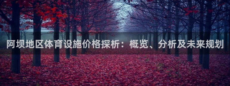 意昂平台体育：阿坝地区体育设施价格探析：概览、分析及未来规划