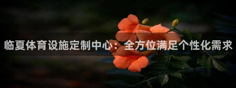 意昂4代理：临夏体育设施定制中心：全方位满足个性化需求