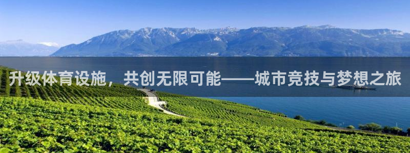 意昂4娱乐平台：升级体育设施，共创无限可能——城市竞