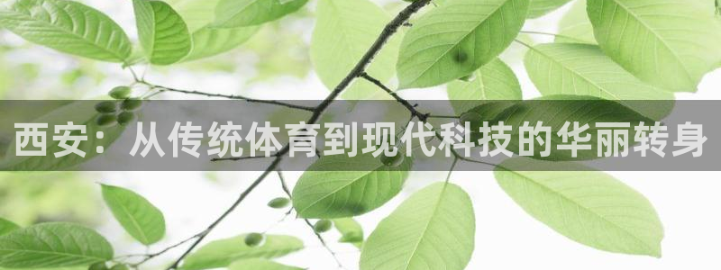 意昂4官网：西安：从传统体育到现代科技的华丽转身