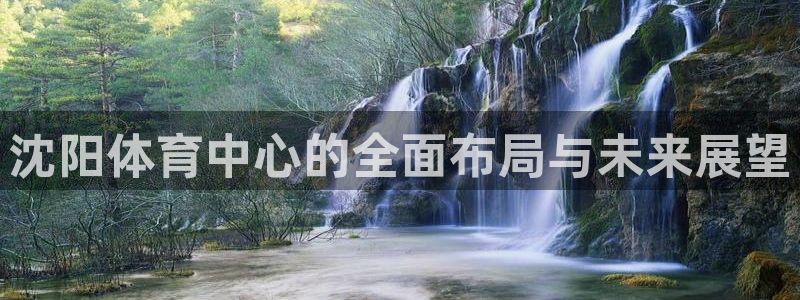 意昂体育4联系电话：沈阳体育中心的全面布局与未来展望
