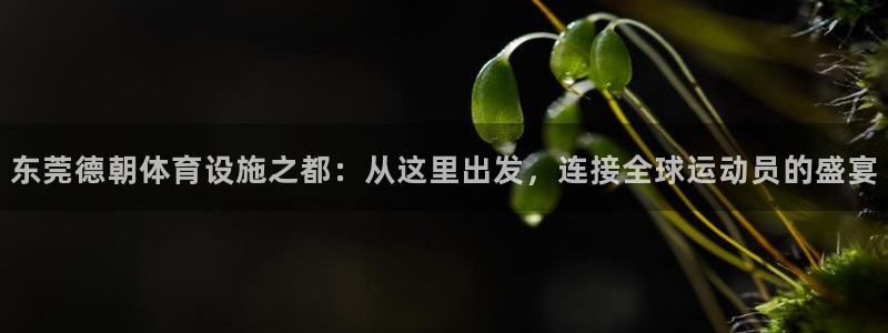 意昂体育4招商电话地址是多少：东莞德朝体育设施之都：从这里出