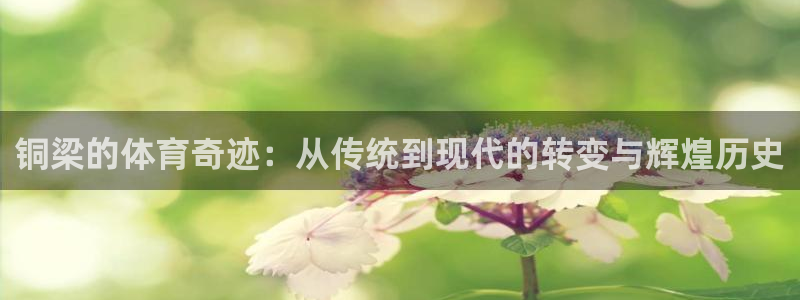 意昂4娱乐首页官网下载：铜梁的体育奇迹：从传统到现代