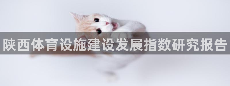 意昂4五金厂：陕西体育设施建设发展指数研究报告
