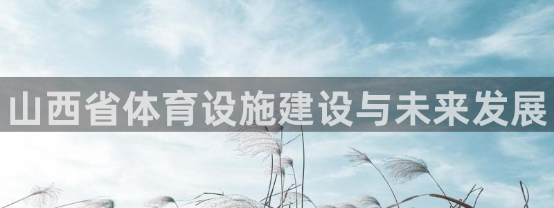 意昂体育4软件：山西省体育设施建设与未来发展