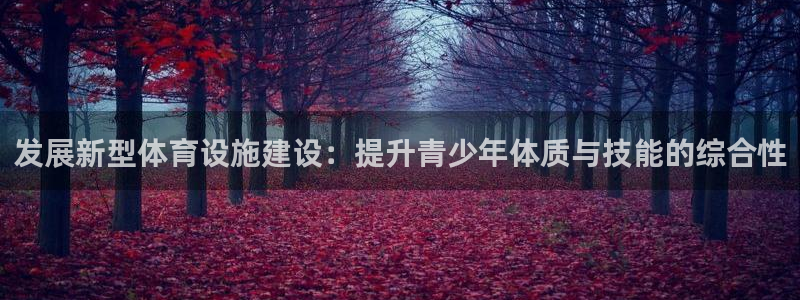 意昂4官网：发展新型体育设施建设：提升青少年体质与技