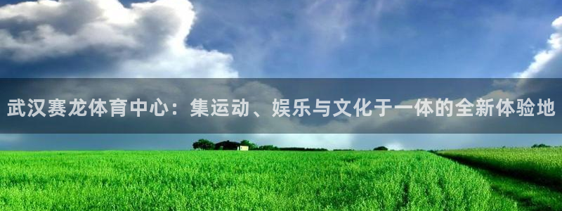 意昂体育4招商电话是多少：武汉赛龙体育中心：集运动、