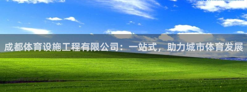 意昂体育4平台APP：成都体育设施工程有限公司：一站