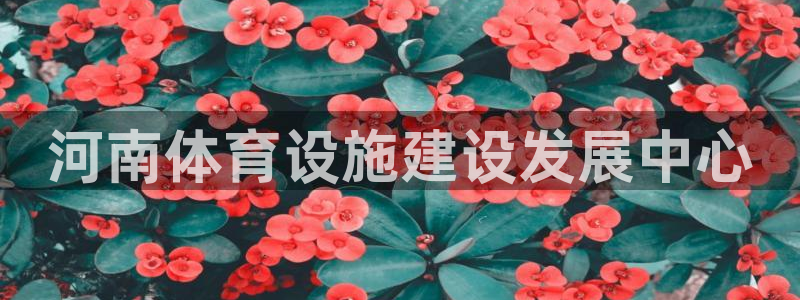 海南意昂体育4发展怎么样：河南体育设施建设发展中心