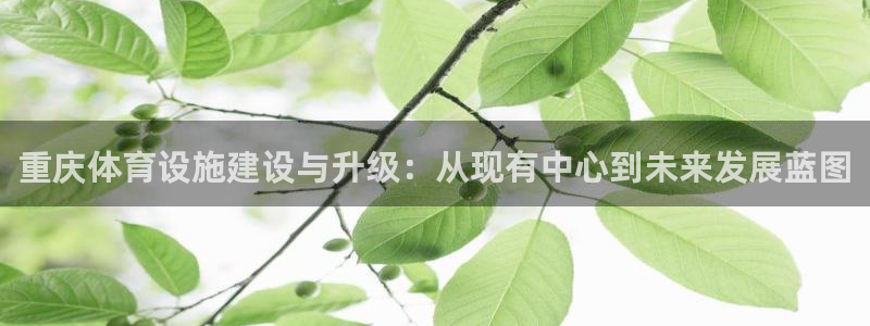 意昂体育4招商电话地址查询：重庆体育设施建设与升级：