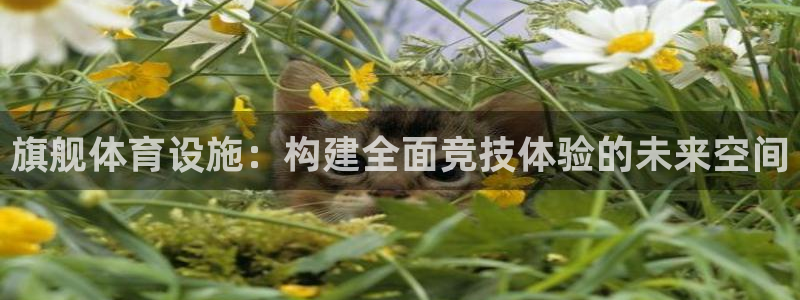 意昂4娱乐首页网站大全：旗舰体育设施：构建全面竞技体验的未来