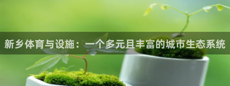 意昂体育4平台注册要钱吗安全吗：新乡体育与设施：一个