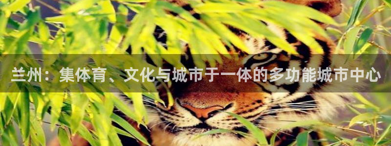 意昂体育4平台注册：兰州：集体育、文化与城市于一体的