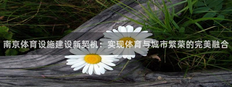 意昂体育4招商电话地址：南京体育设施建设新契机：实现